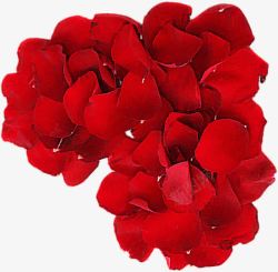 娇艳欲滴的红色玫瑰花花瓣素材
