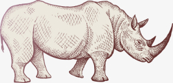 手绘野猪手绘素描动物插画高清图片