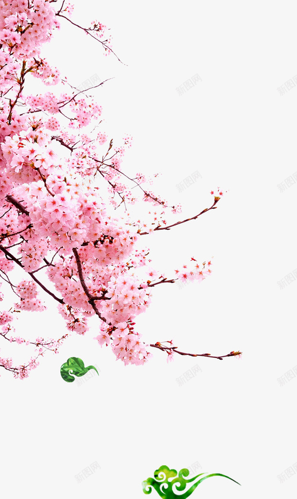 粉嫩桃花树枝png免抠素材_新图网 https://ixintu.com PNG 唯美 桃花 浪漫 粉色