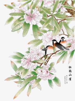 淡红杜鹃花开引鸟来高清图片