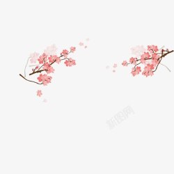 美丽日本樱花素材