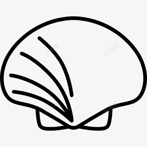 贝壳图标png_新图网 https://ixintu.com 动物 扇贝 海洋生物 海洋贝类 贝壳 软体动物