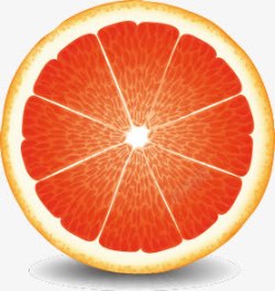 手绘橙子柚子素材