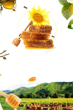 蜂场白色简约小清新纯天然蜂蜜养生海报高清图片