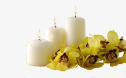 蜡烛鲜花素材三支蜡烛高清图片