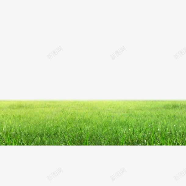 草地png免抠素材_新图网 https://ixintu.com 大片草地 绿地 草原 草地