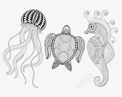 彩色海马海洋生物黑白图腾线稿高清图片