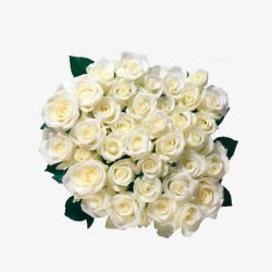 白色花簇大束玫瑰高清图片