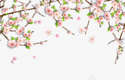 粉色樱桃树樱桃树枝高清图片