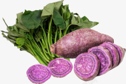 紫薯叶实物紫色红薯片高清图片