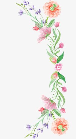 芙蓉花花朵彩绘素材