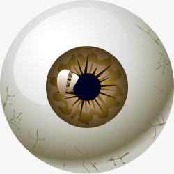 白色的眼球卡通立体眼球棕色眼仁元素矢量图高清图片