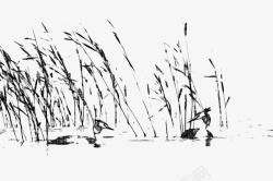 野鸭子芦苇荡河塘旁野鸭子素描绘画图标高清图片