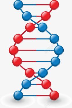 DNA模型矢量图素材