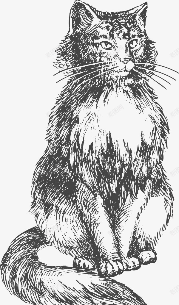 素描猫咪矢量图ai免抠素材_新图网 https://ixintu.com 手绘 猫咪 简洁 素描 线条 矢量图