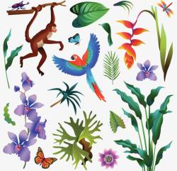 热带动植物热带雨林动植物高清图片