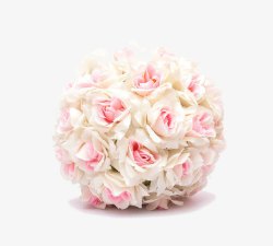 白色的球玫瑰花球高清图片