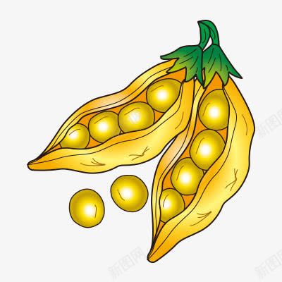 金色黄豆豌豆png免抠素材_新图网 https://ixintu.com 卡通 手绘 豌豆 金色 黄豆 黄金