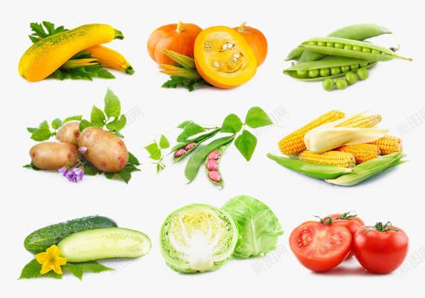 农产品合集png免抠素材_新图网 https://ixintu.com 农产品 合集 手绘 蔬菜 装饰图案