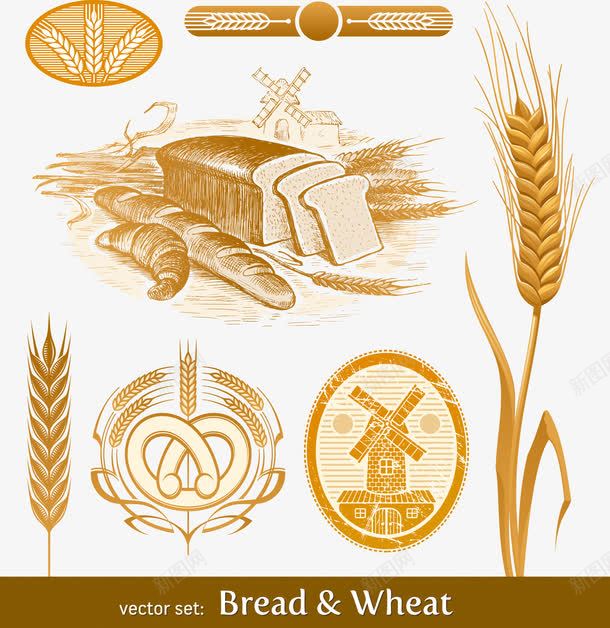 小麦创意主题png免抠素材_新图网 https://ixintu.com 小麦 糕点 花边 面包 面包圈 面包片 麦子 麦穗