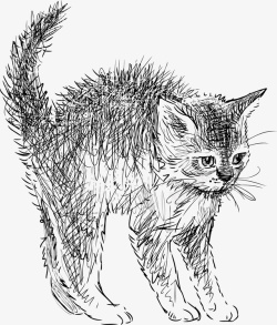 线描猫咪手绘速写猫咪弓腰动作图形矢量图高清图片
