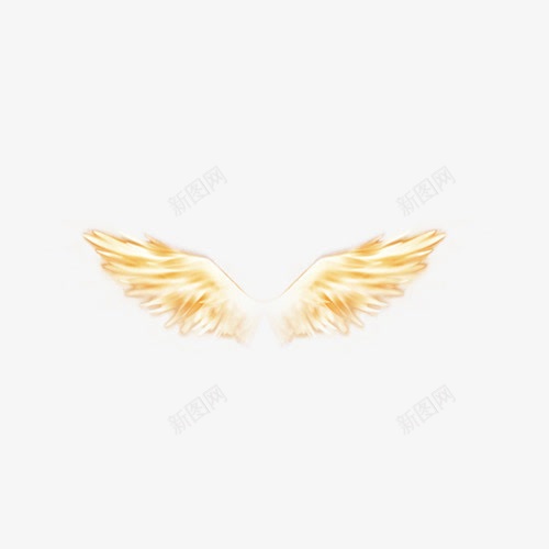 翅膀png免抠素材_新图网 https://ixintu.com 天使 天使羽翼 羽毛 翅膀 翅膀元素 飞翔