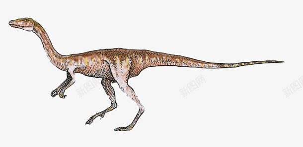 恐龙png免抠素材_新图网 https://ixintu.com 恐龙 手绘 棕色 灭绝动物 疙瘩 黄色