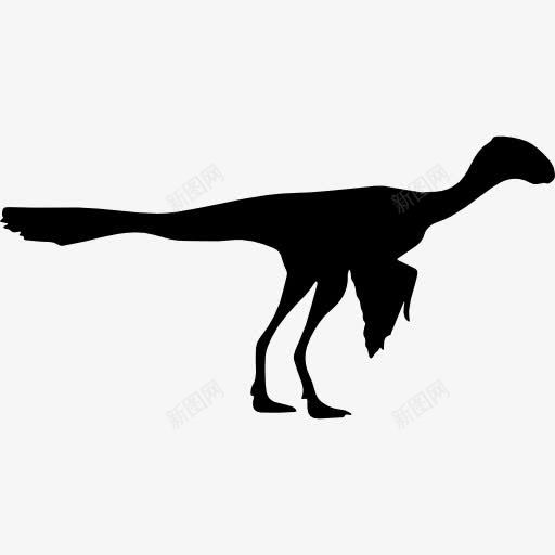 恐龙始祖鸟的形状图标png_新图网 https://ixintu.com 动物 动物王国 始祖鸟熄灭 形状 恐龙 轮廓