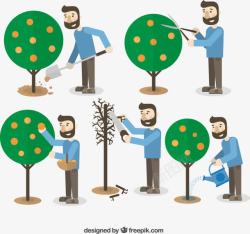 修剪树木护理果树的园丁高清图片