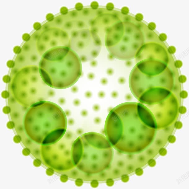绿色细胞分裂结构图png免抠素材_新图网 https://ixintu.com 显微镜 生物医疗 生物学 生物研究 真菌 细胞 细胞高清大图 细菌 细菌结构 蛋白质细胞