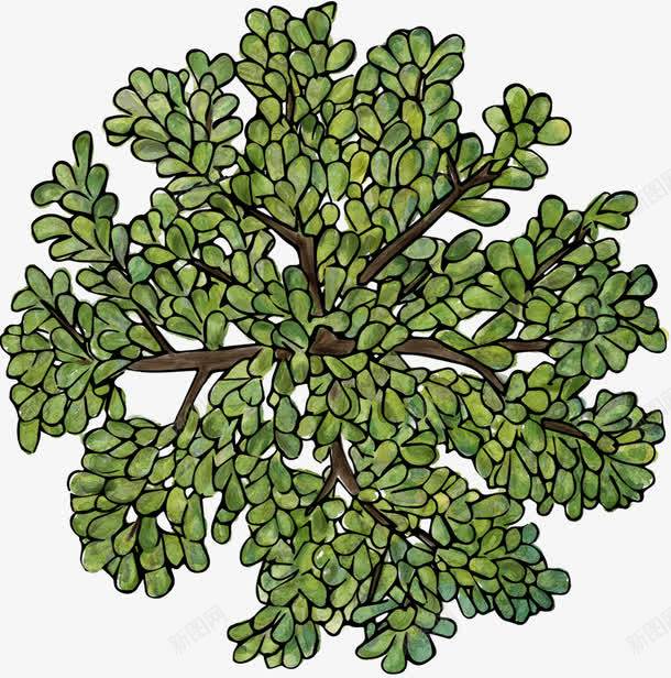 绿色树木俯视图png免抠素材_新图网 https://ixintu.com ps植物平面贴图 俯视图 植物 绿树 装饰