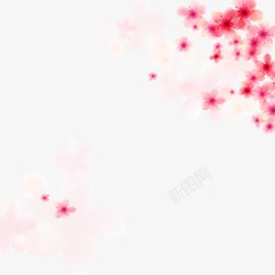 粉色樱花素材