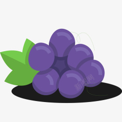 扁平化葡萄扁平化葡萄水果标签矢量图高清图片