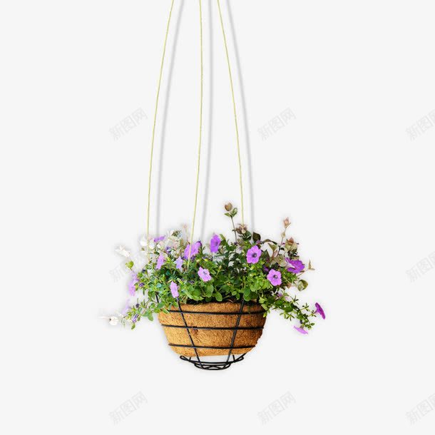 吊着的花篮psd免抠素材_新图网 https://ixintu.com 烘托气氛 紫色 花篮 装饰图案