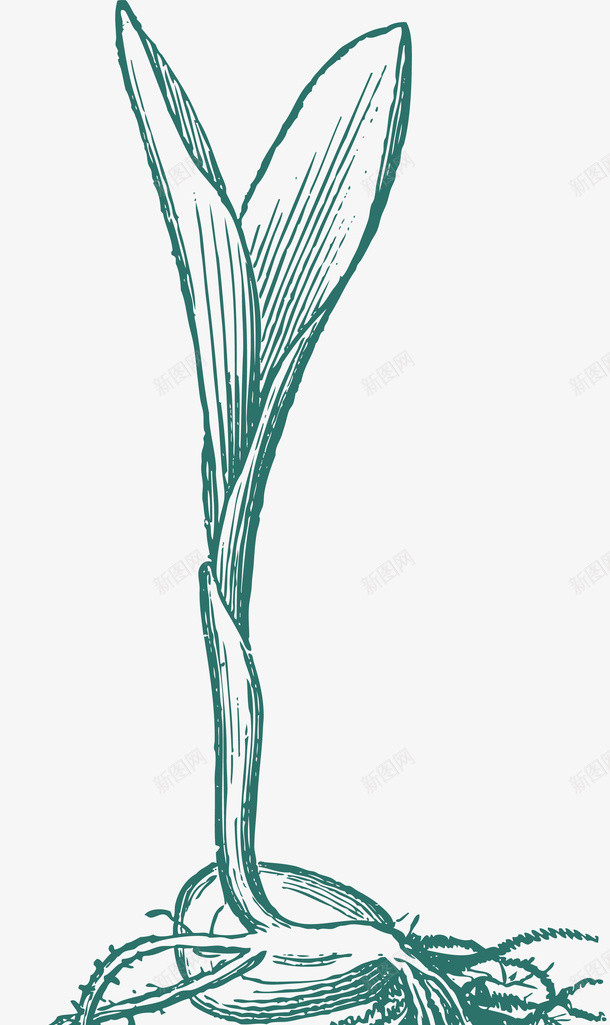 卡通秋分种子发芽线稿插画矢量图ai免抠素材_新图网 https://ixintu.com 插画 秋天 秋天植物 秋季 秋种 种子 种子发芽 种子发芽线稿 矢量图