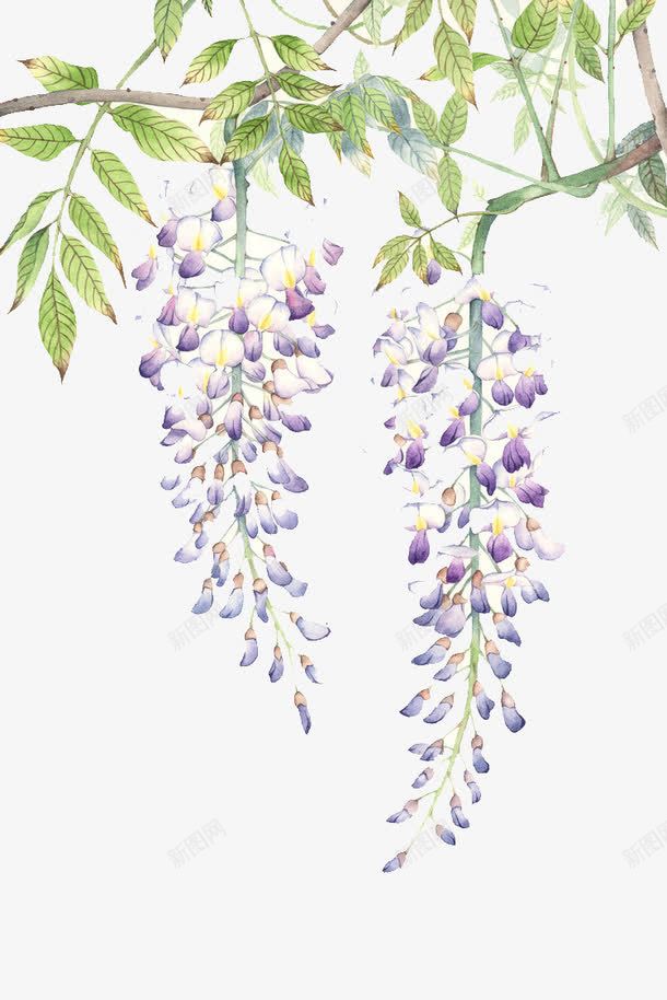 紫色树梢花朵png免抠素材_新图网 https://ixintu.com 意境 树梢 梦幻 紫色 花朵