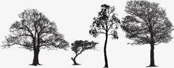 树形线黑白线稿剪影树形状高清图片