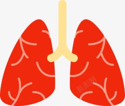 红色肺部图标图标