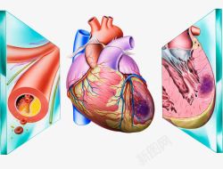 心脏状况心脑血管疾病高清图片