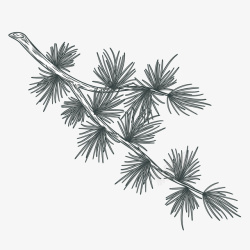扁平树素材一支手绘的柏树树枝矢量图高清图片