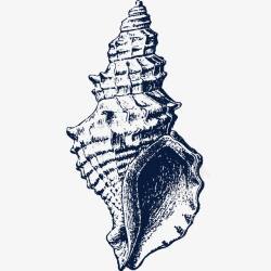 旋螺手绘海螺贝壳插画图标高清图片