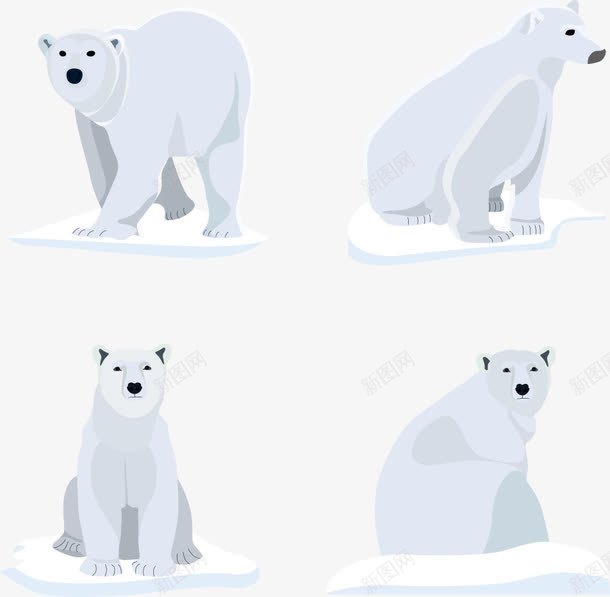 冰块上的北极熊png免抠素材_新图网 https://ixintu.com 冰块 北极熊 卡通北极熊 坐着的北极熊 矢量北极熊