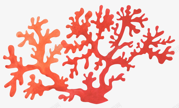 美丽的红色珊瑚礁png免抠素材_新图网 https://ixintu.com 大海 海底世界 海生植物 珊瑚礁 红色珊瑚礁 美丽的