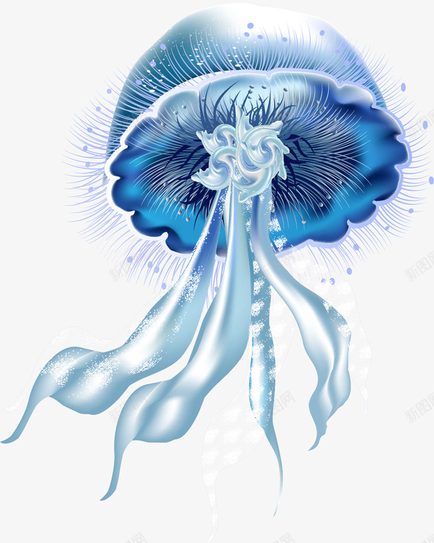海洋生物png免抠素材_新图网 https://ixintu.com 写实风格 动物描写 彩绘 彩色水母 手绘 插画 水母 海洋生物