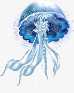 彩绘水母海洋生物高清图片