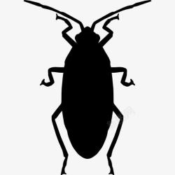 蟑螂图片Roach图标高清图片