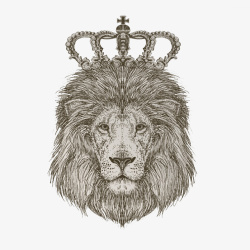 狮子之王素材