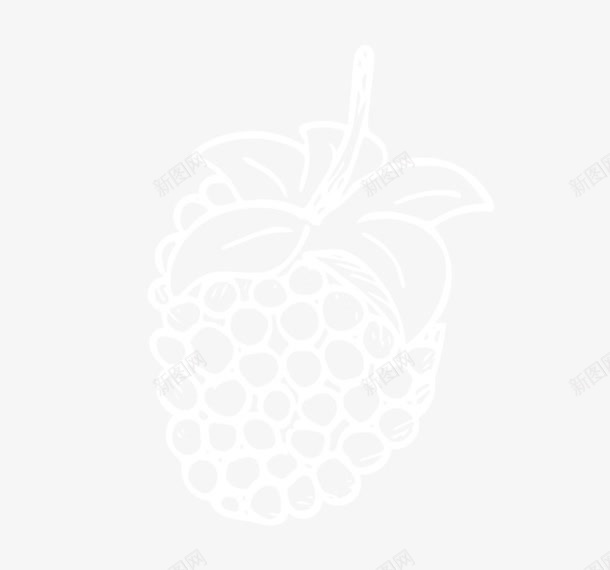 卡通手绘覆盆子png免抠素材_新图网 https://ixintu.com 卡通 手绘 树莓 白色 蔓越莓 覆盆子