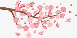 飘落的爱心浪漫飞舞的粉红樱花矢量图高清图片