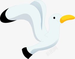 海洋哺乳动物卡通海鸥高清图片